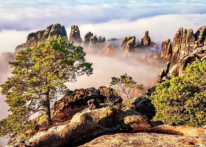 公寓 Laubegast 德累斯顿