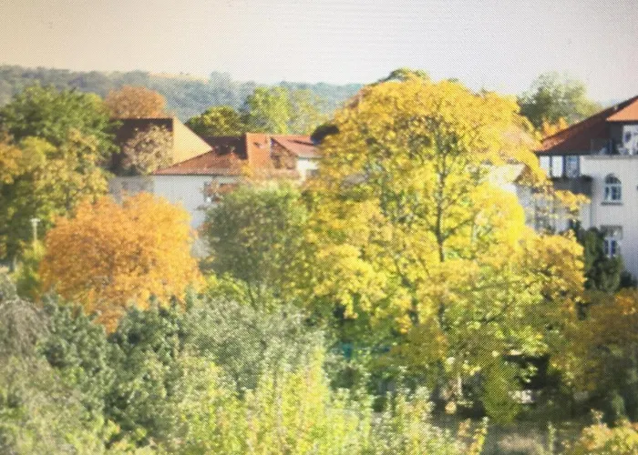 Laubegast Drezno